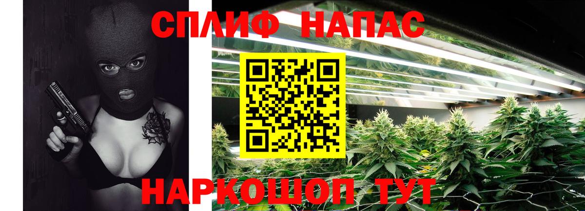 Бошки марихуана White Widow Кувандык