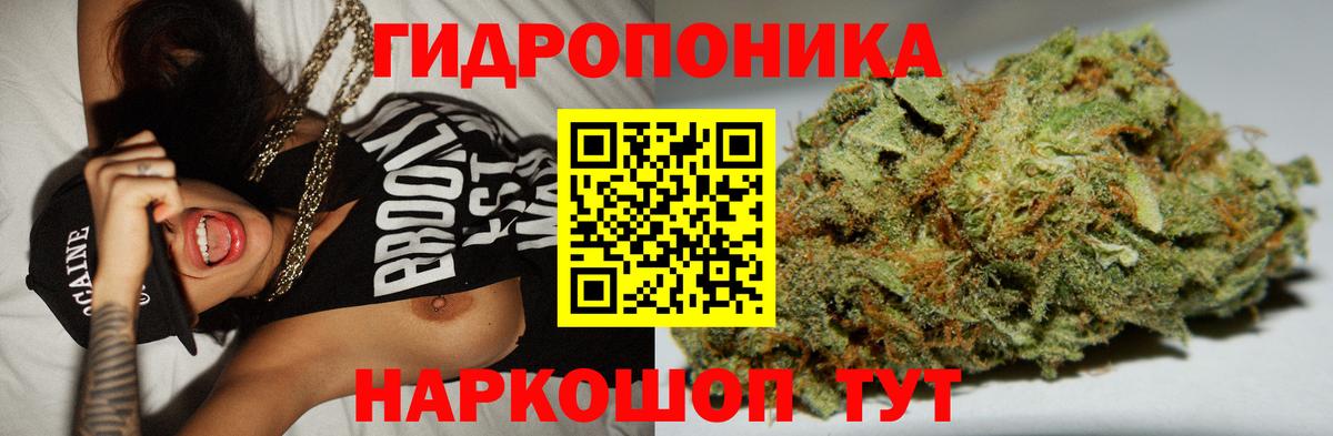 Конопля гибрид  Канабис семена  Вход с VPN  Кувандык  МАРИХУАНА THC 21%  Конопля Amnesia 